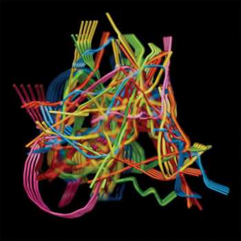 Album Dustin Wong: Perpetual Morphosis