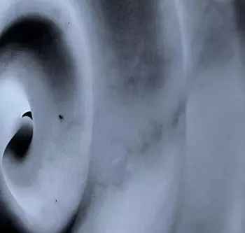 d'Voxx: Télégraphe
