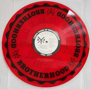 LP DYS: Brotherhood CLR | LTD