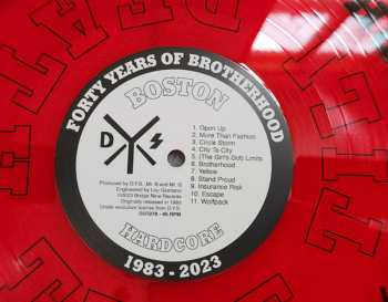 LP DYS: Brotherhood CLR | LTD