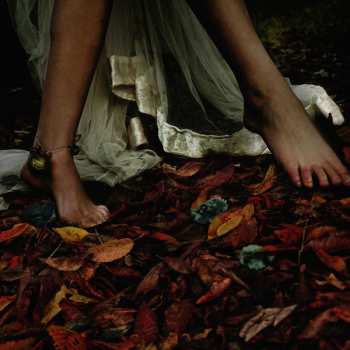 CD E-L-R: Vexier DIGI