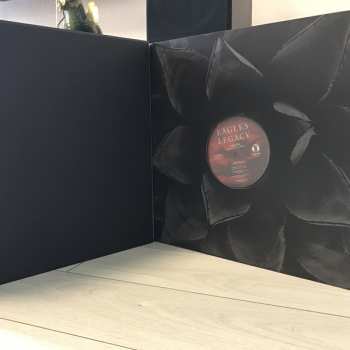 15LP/Doos Eagles: Legacy The Eagles