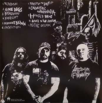 LP Earthburner: Permanent Dawn CLR | LTD