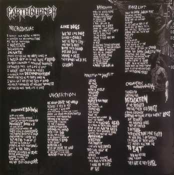 LP Earthburner: Permanent Dawn CLR | LTD