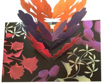 CD 유겸: Point Of View: U