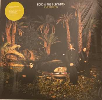 LP Echo & The Bunnymen: Evergreen LTD | CLR