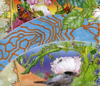LP Ed Wynne: Shimmer Into Nature