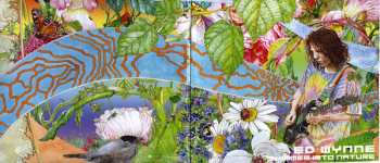 LP Ed Wynne: Shimmer Into Nature