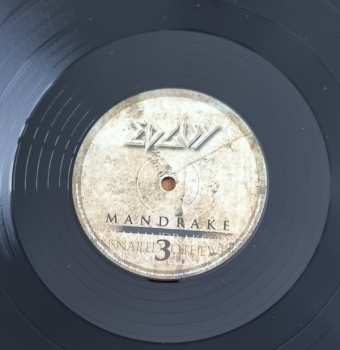 2LP Edguy: Mandrake