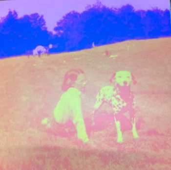 3LP/Doos Eels: Blinking Lights And Other Revelations CLR | LTD