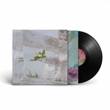 LP Efterklang: Windflowers