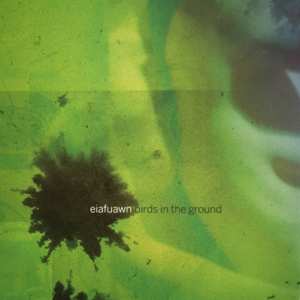 LP Eiafuawn: Birds In The Ground