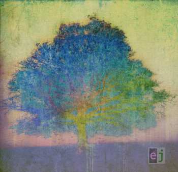 LP Eric Johnson: EJ