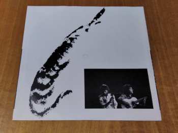LP Tomatito: Flamenco Vivo
