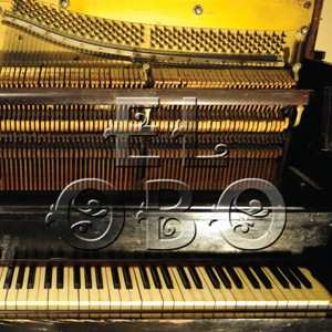 LP El Obo: Oxford Basement Collection CLR