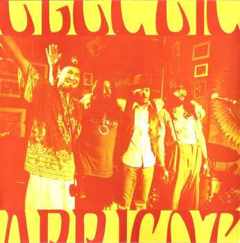 CD Electric Apricot: Quest For Festeroo