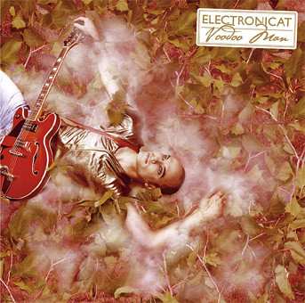 CD Electronicat: Voodoo Man