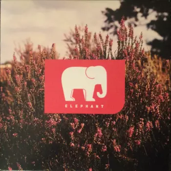 Elephant EP