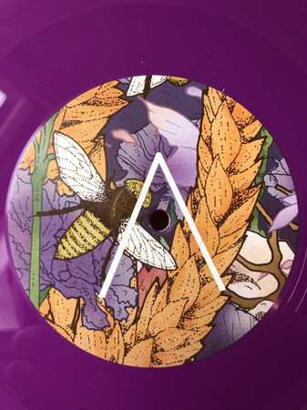 LP Elevators To The Grateful Sky: Nude  CLR | LTD