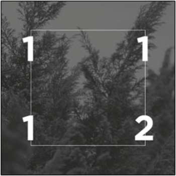 Album Eleventwelfth: eleventwelfth