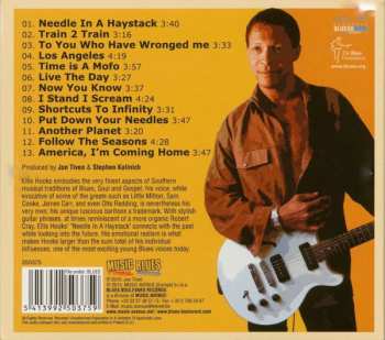 CD Ellis Hooks: Needle In A Haystack