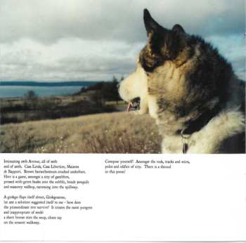 CD Eluvium: Talk Amongst The Trees