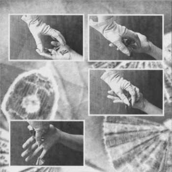 CD Embryo: Zack Glück