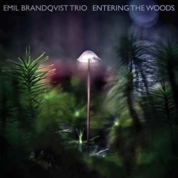 CD Emil Brandqvist Trio: Entering The Woods