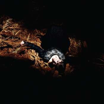 Album Emily Jane White: Victorian America