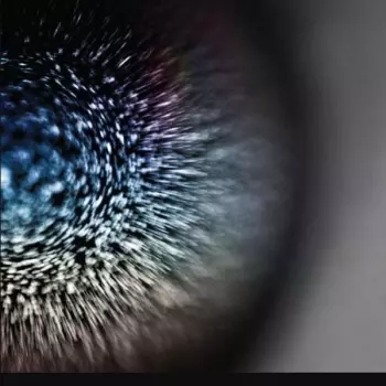 Emptyset: Blossoms