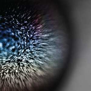 LP Emptyset: Blossoms LTD | CLR
