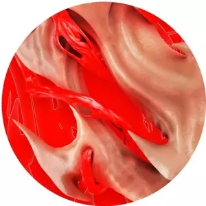 EndgamE: Flesh EP