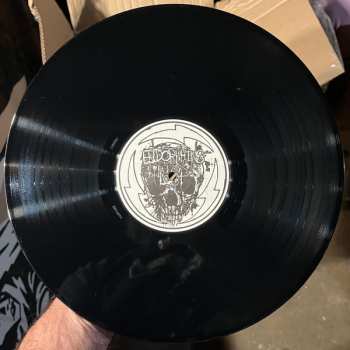 LP Endorphins Lost: Night People