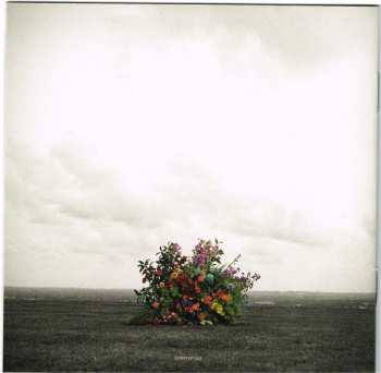 CD Gabrielle Aplin: English Rain