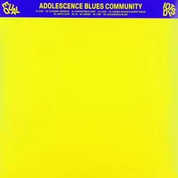Equal Idiots: Adolescence Blues Community