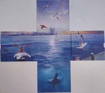 CD Eric Vloeimans: Wild Port Of Europe