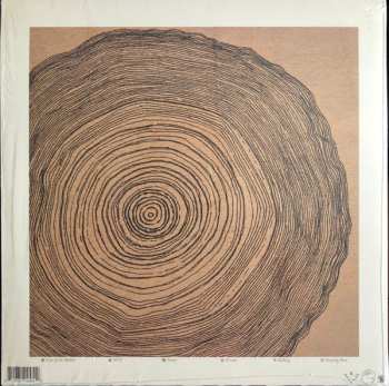 LP Eskimeaux: Year Of The Rabbit CLR