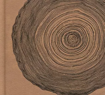 Eskimeaux: Year Of The Rabbit