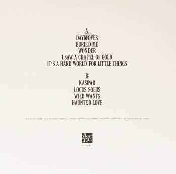 LP Estasy: Wild Songs