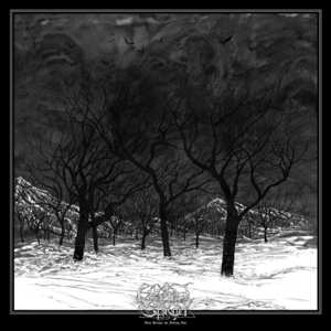 2LP Ethereal Shroud: They Became The Falling Ash