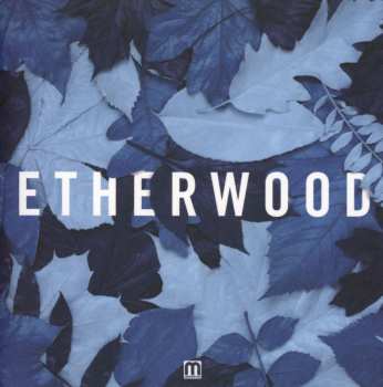 Album Etherwood: Blue Leaves