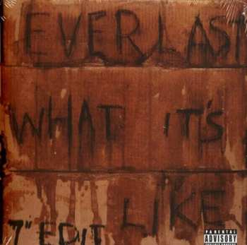 SP Everlast: What It's Like / Ends