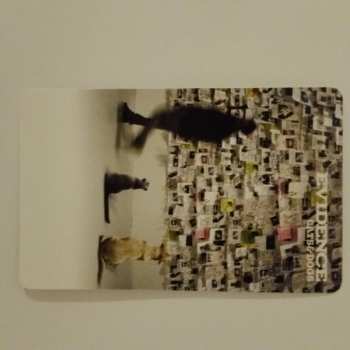 2LP Evidence: Cats & Dogs LTD | CLR