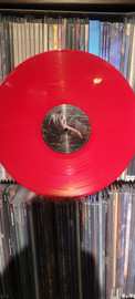 LP Exhumation: Traumaticon