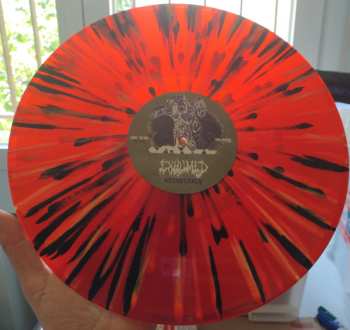 LP Exhumed: Necrocracy CLR | LTD