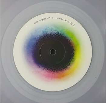 2LP Exm: Descent CLR | LTD