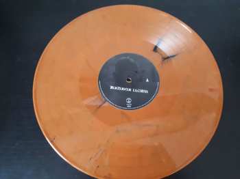 LP Exmortem: Berzerker Legions LTD | CLR