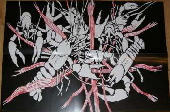 LP Exoskelett: Collected Bones LTD | CLR