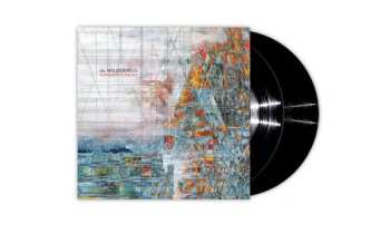 2LP Explosions In The Sky: The Wilderness DLX | LTD