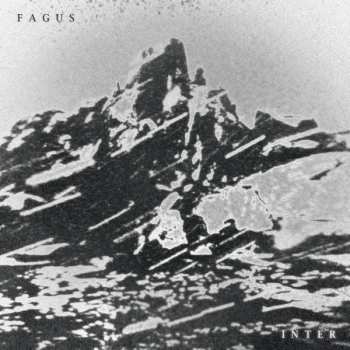 CD Fagus: Inter